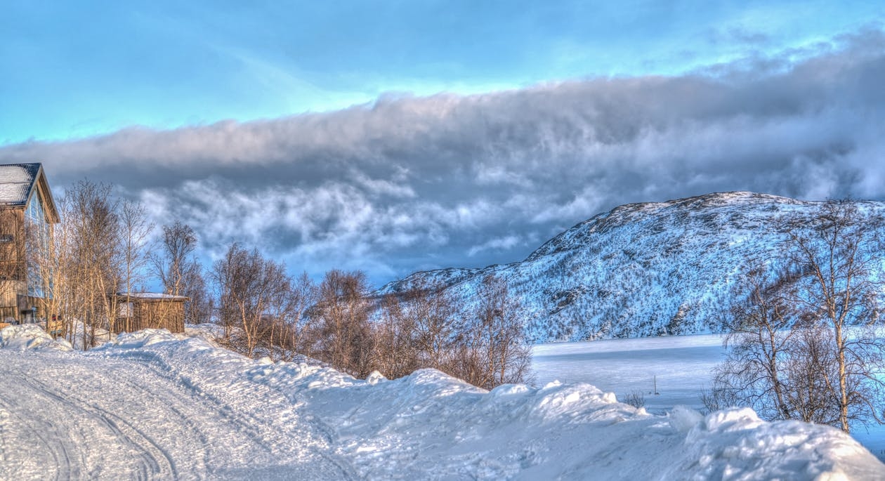 https://www.pexels.com/photo/cold-freezing-frost-frosty-358478/