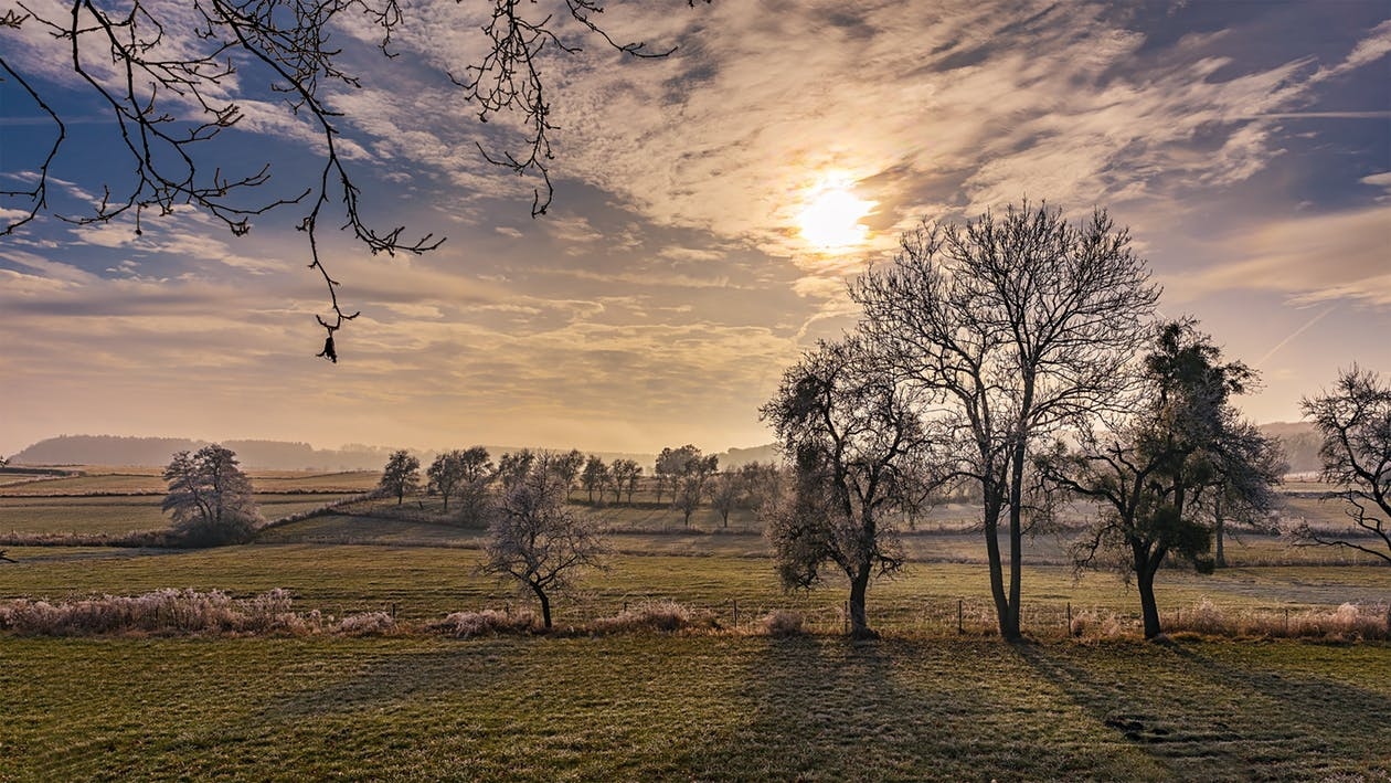 https://www.pexels.com/photo/countryside-dawn-dusk-field-355521/