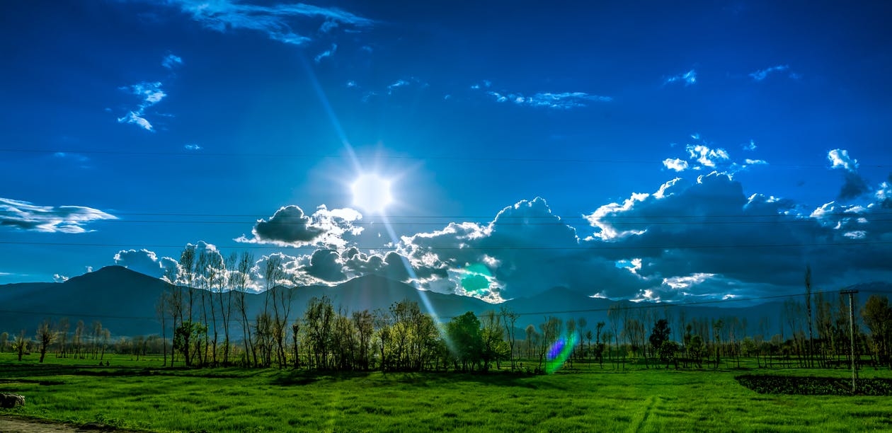 https://www.pexels.com/photo/trees-and-grass-field-under-cloudy-sky-during-daytime-186980/