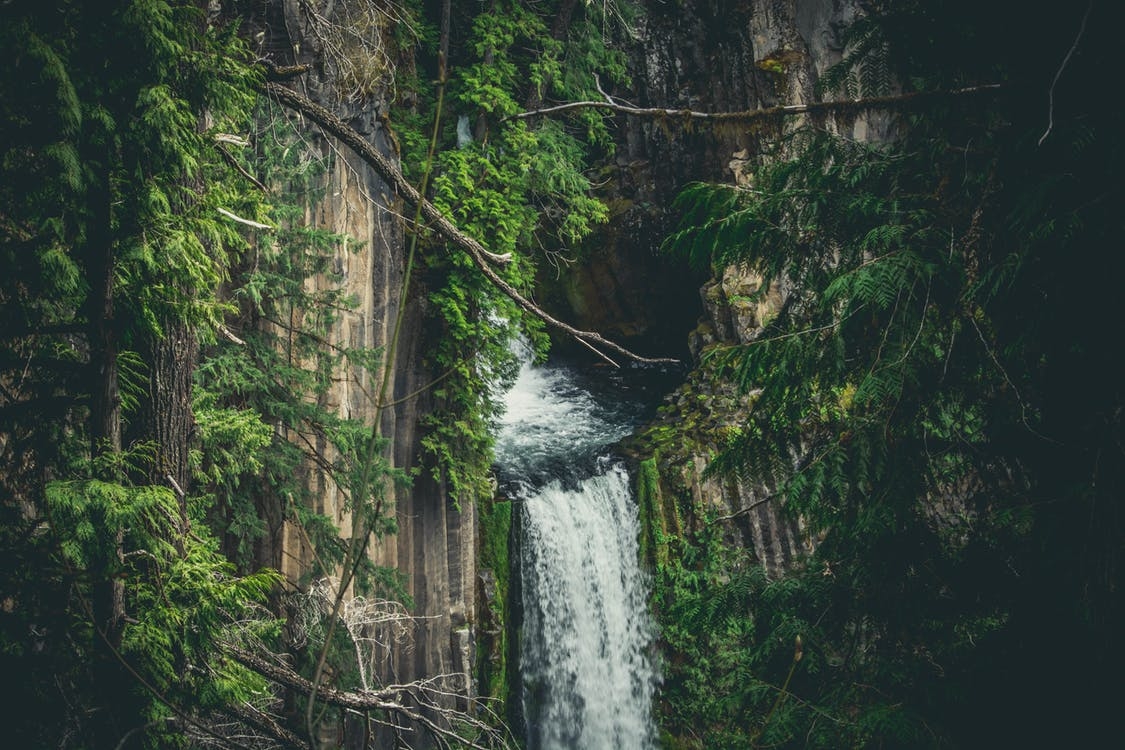 https://www.pexels.com/photo/branches-cascade-daylight-environment-213875/