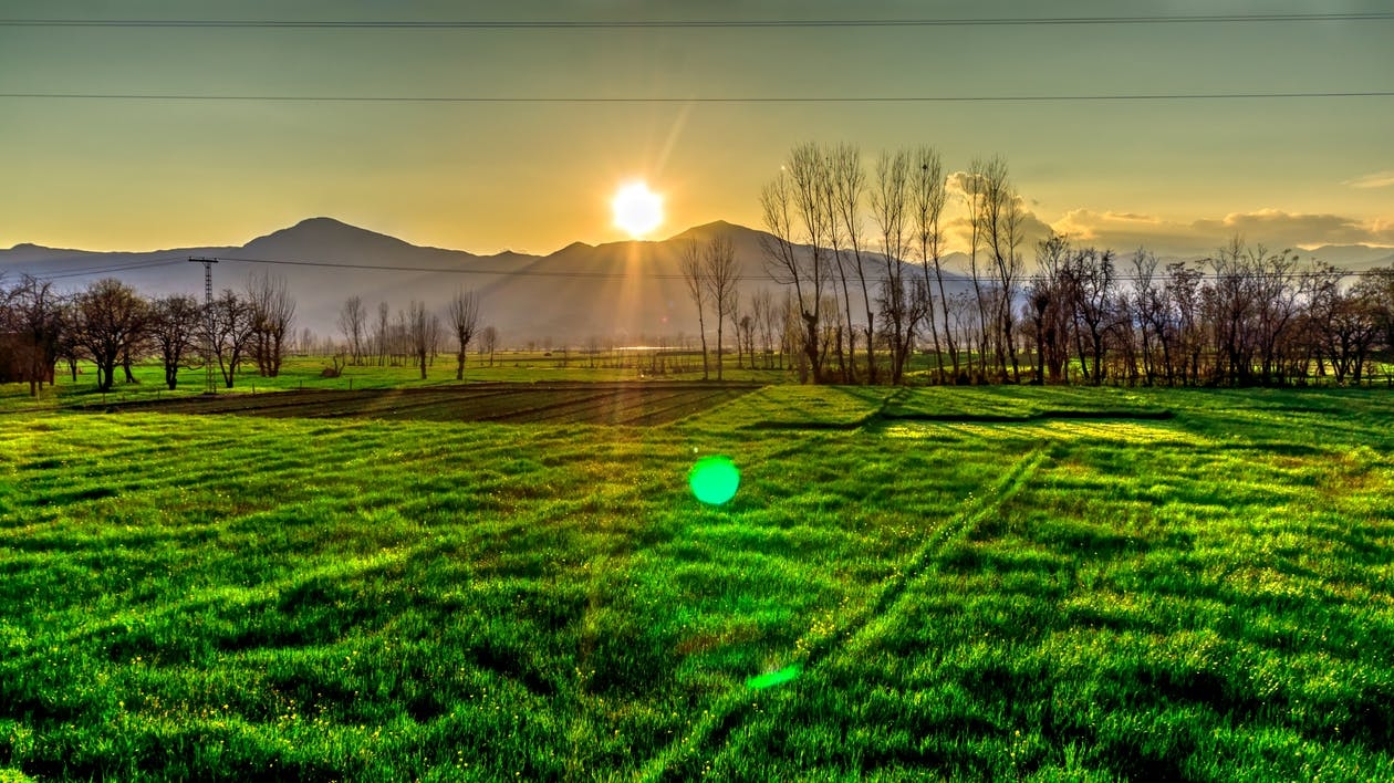 https://www.pexels.com/photo/golden-hour-view-on-the-mountain-205410/