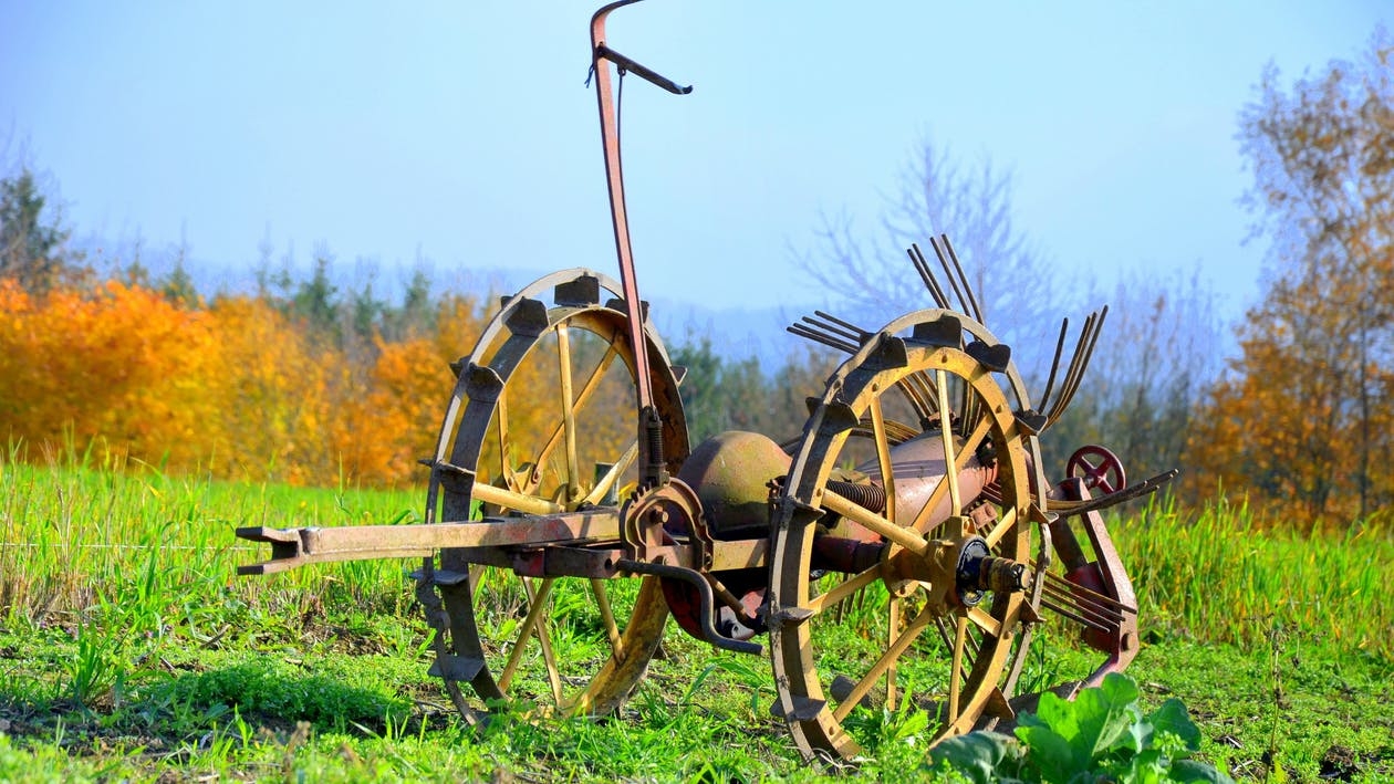 https://www.pexels.com/photo/horse-cart-on-field-against-sky-247470/