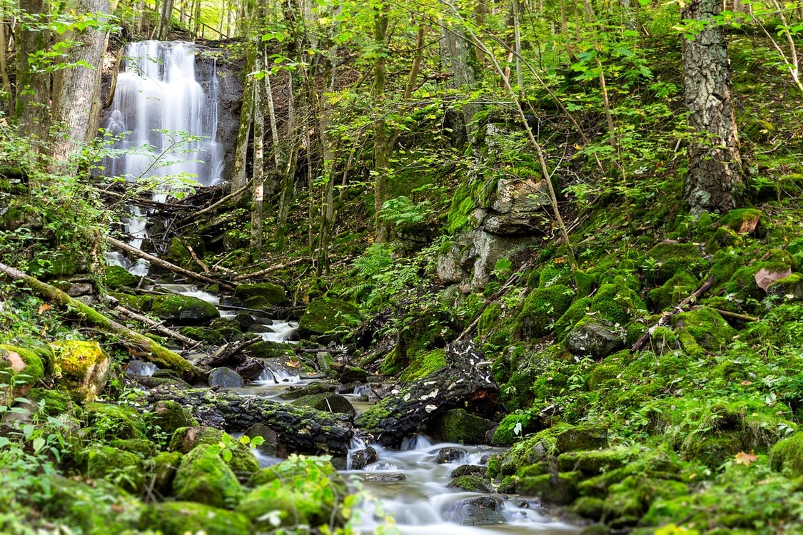 https://www.pexels.com/photo/cascade-creek-environment-flow-353878/