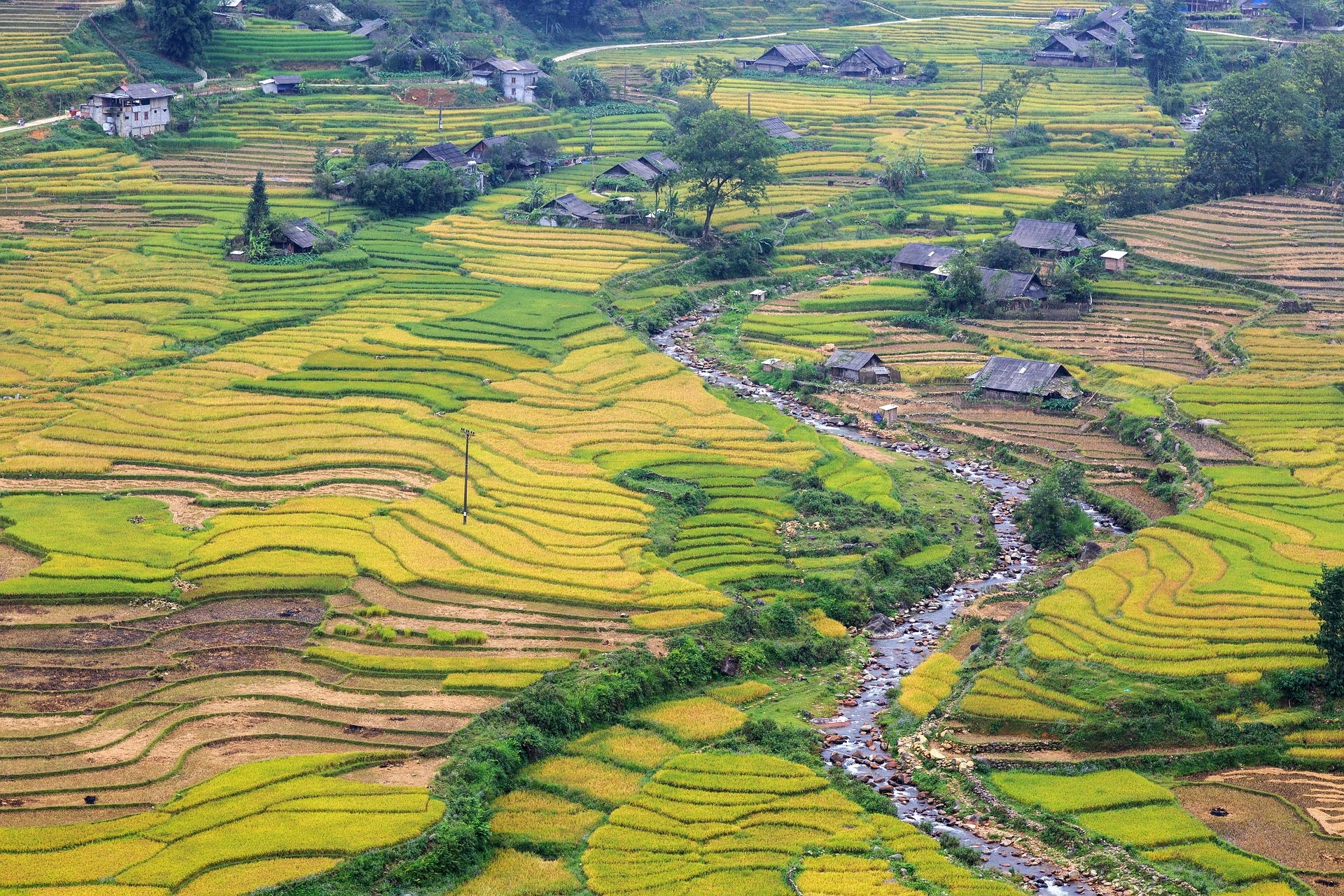 https://pixabay.com/hu/sapa-lao-cai-vietnam-fekv%C5%91-2767485/