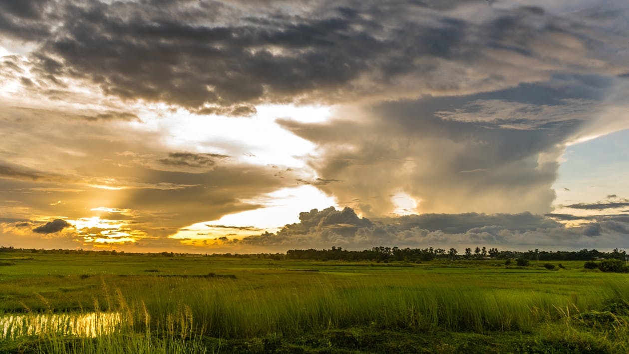 https://www.pexels.com/photo/macro-shot-of-green-grass-field-under-cloudy-sky-during-sunset-158454/