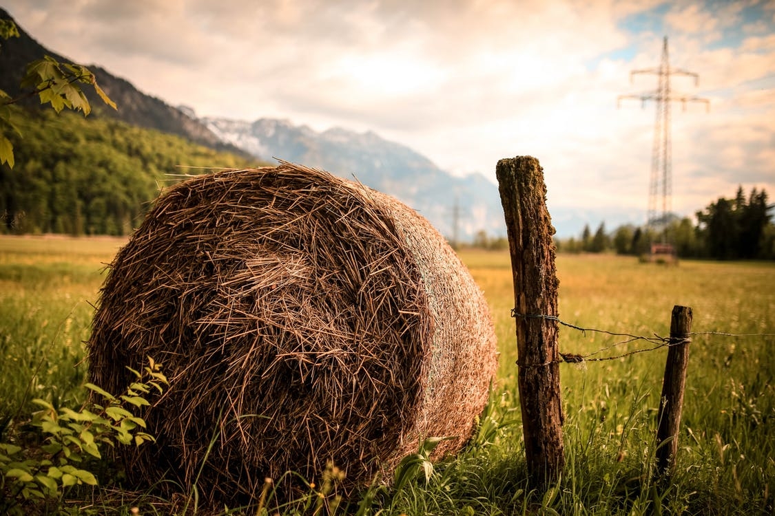 https://www.pexels.com/photo/agriculture-country-countryside-fall-518557/