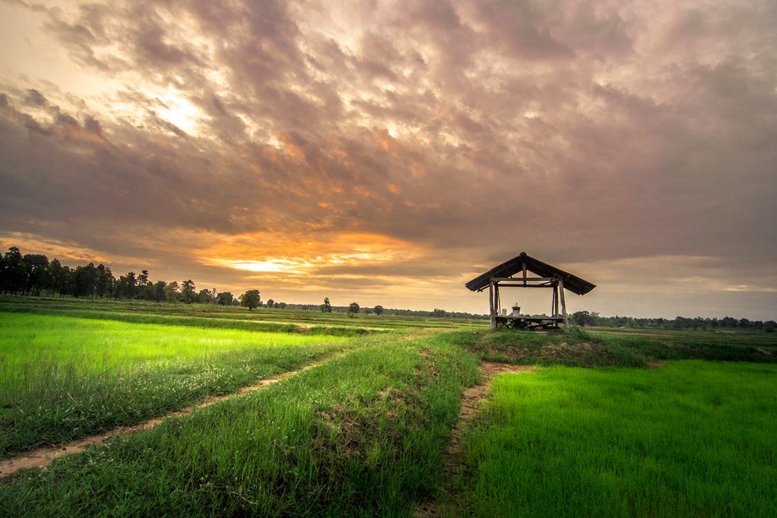 https://www.pexels.com/photo/agriculture-clouds-country-countryside-460243/