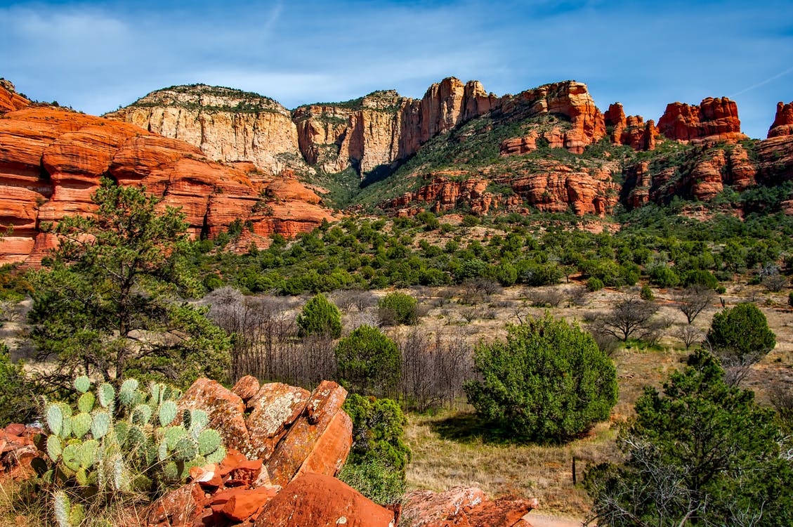 https://www.pexels.com/photo/blue-sky-bushes-cactus-clouds-206701/