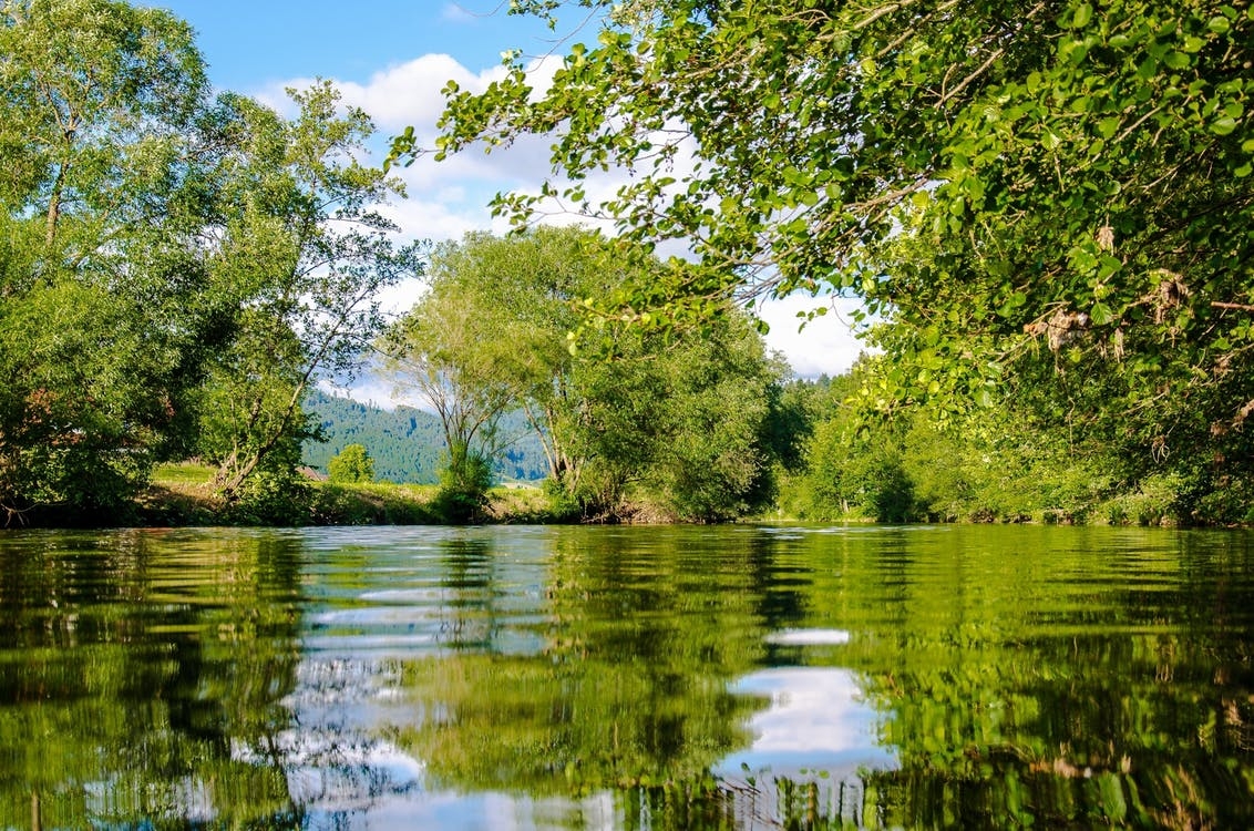 https://www.pexels.com/photo/panoramic-photo-of-bushes-near-pond-158361/