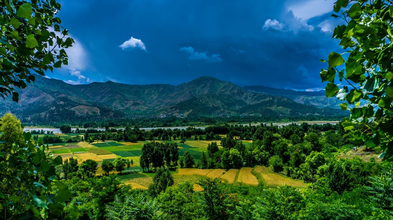 https://www.pexels.com/photo/green-mountain-distance-with-trees-186985/