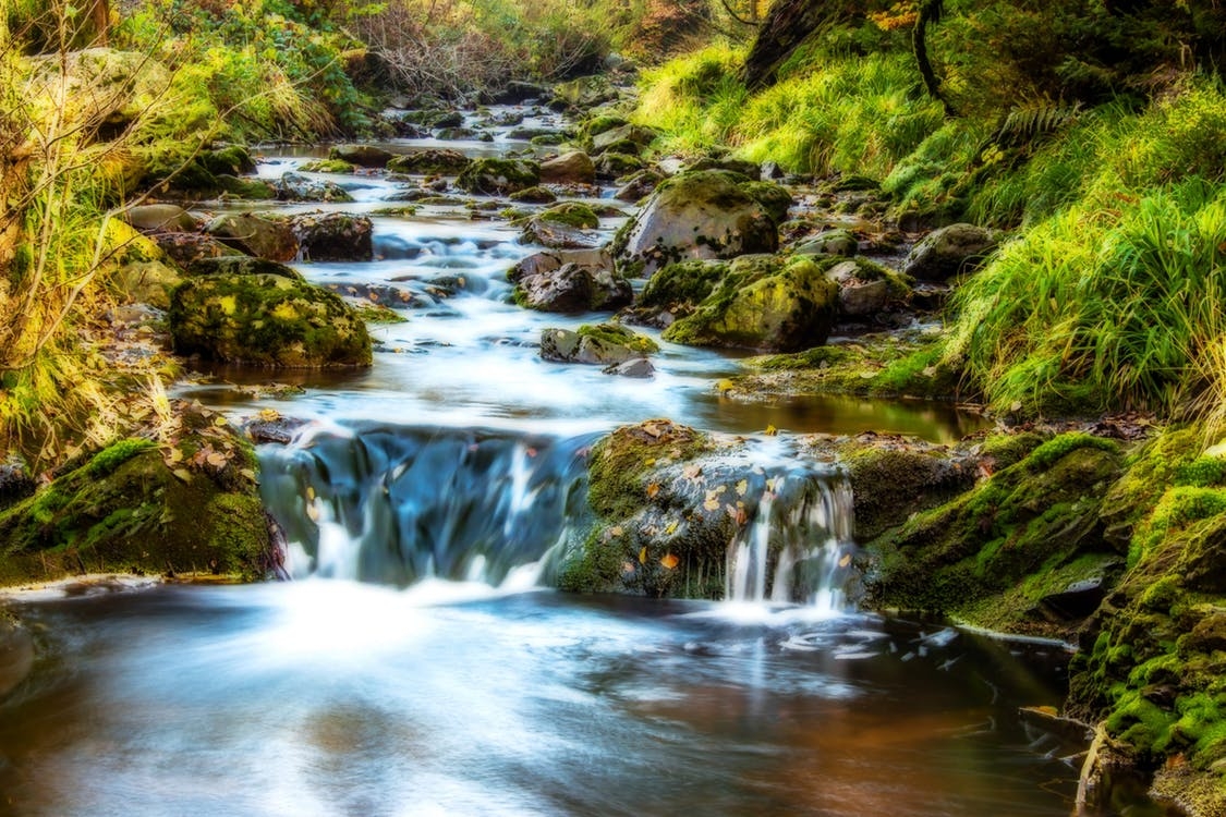 https://www.pexels.com/photo/cascade-creek-environment-flow-219717/