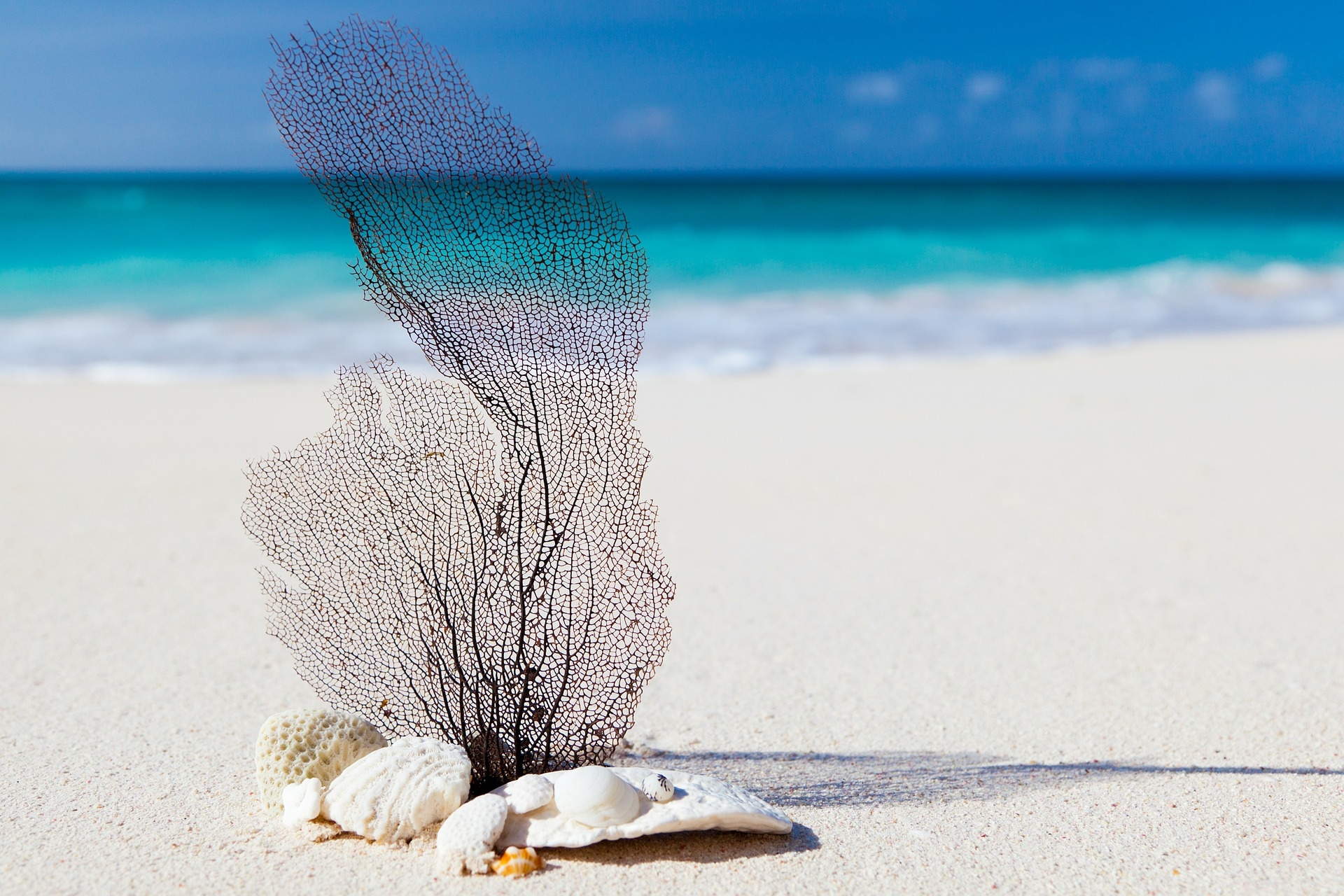 https://pixabay.com/hu/beach-karib-szigetek-k%C3%A9k-sz%C3%A9ps%C3%A9g-84565/