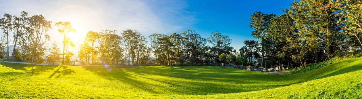 https://www.pexels.com/photo/bright-day-environment-field-356977/