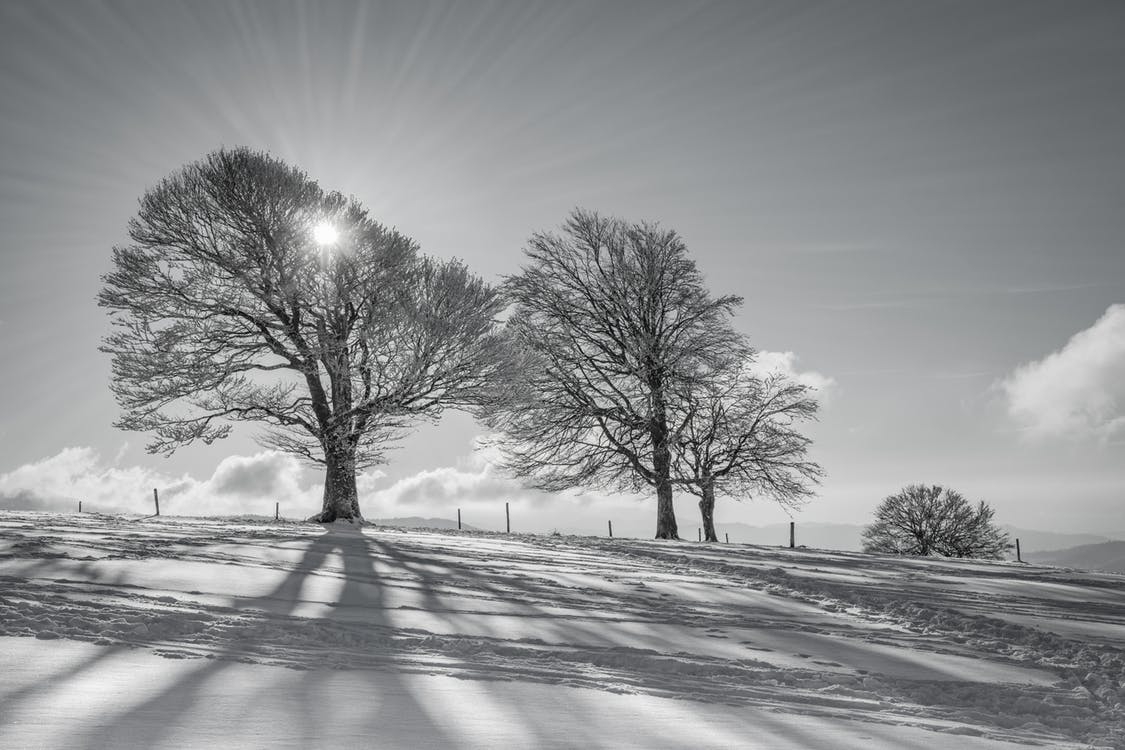 https://www.pexels.com/photo/clouds-cold-countryside-frost-289527/