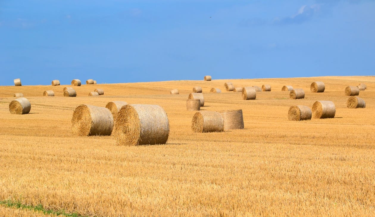 https://www.pexels.com/photo/agriculture-arable-bale-countryside-289334/