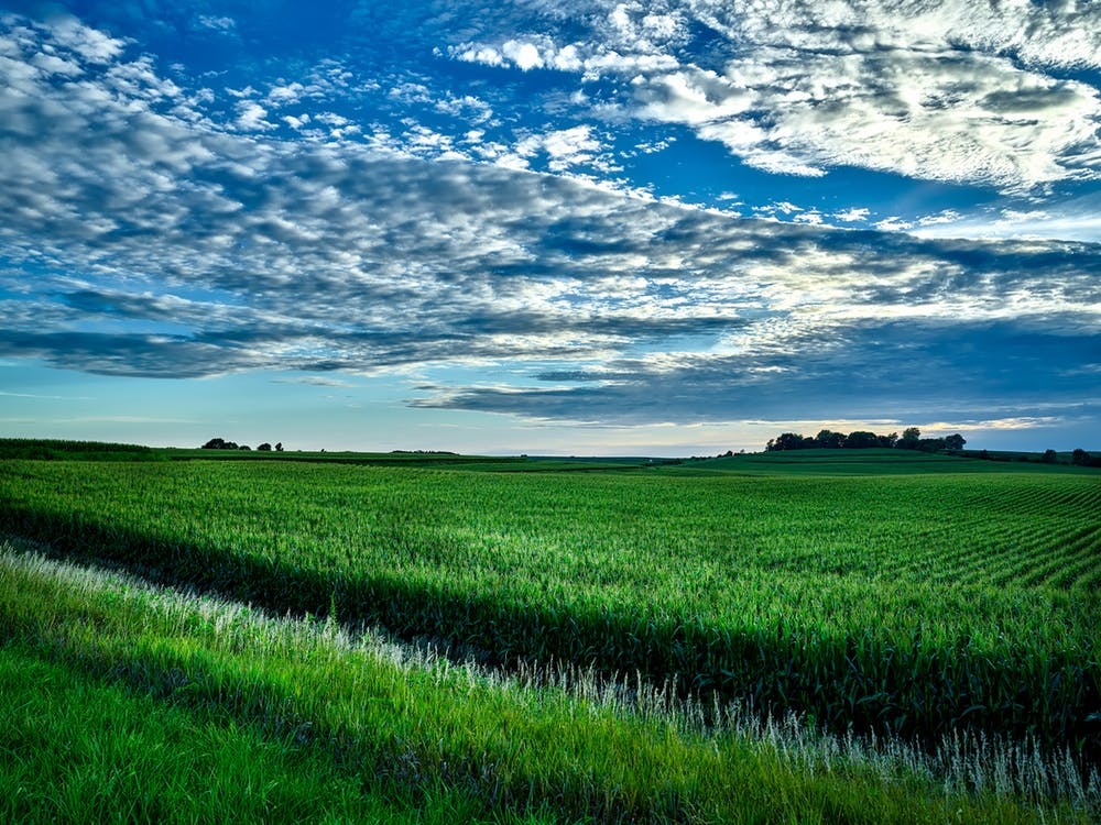 https://www.pexels.com/photo/agriculture-clouds-cornfield-country-210225/