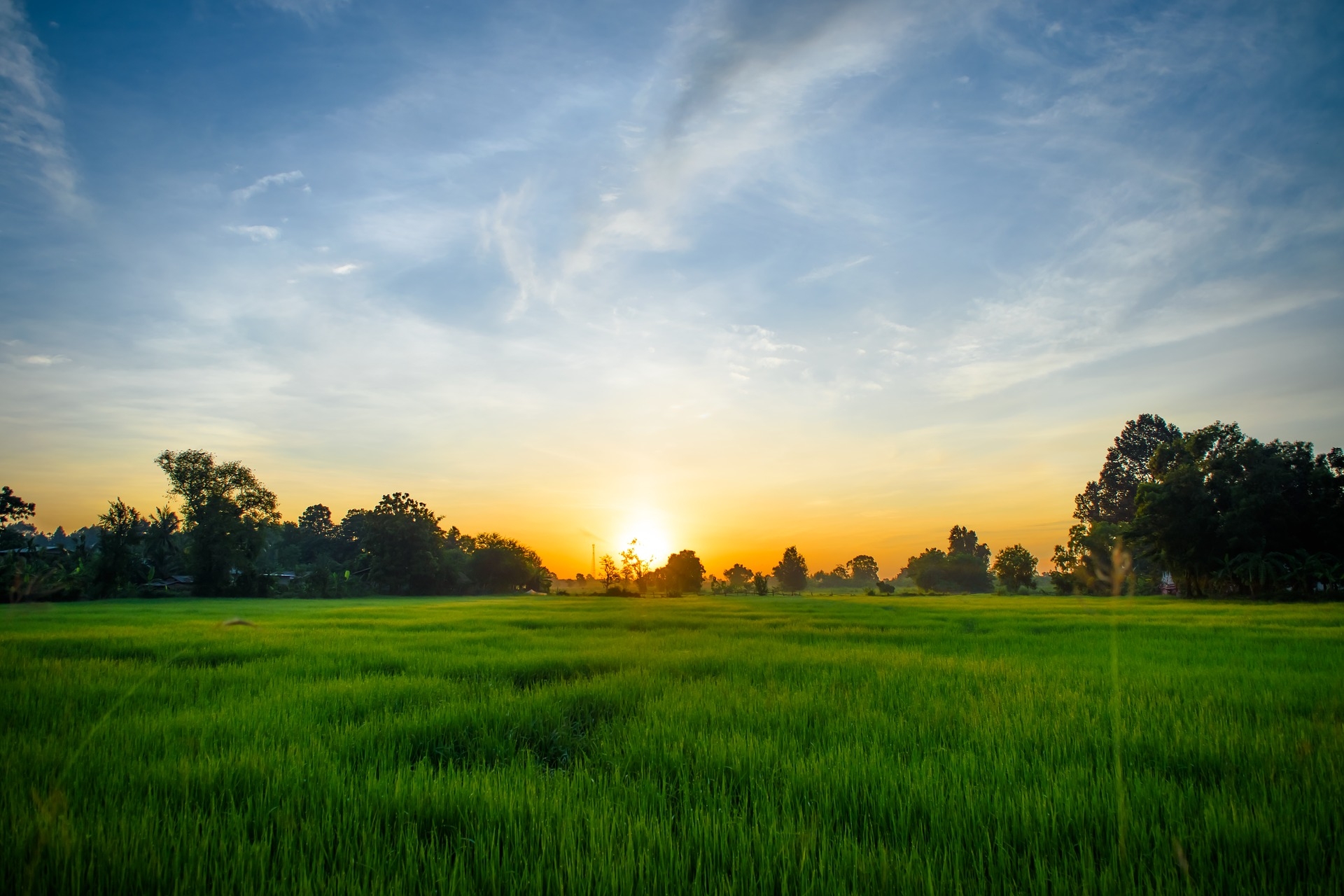 https://pixabay.com/en/sunrise-morning-cornfield-bright-2701879/