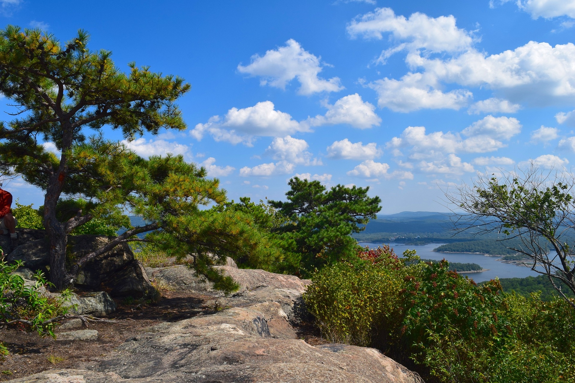 https://pixabay.com/en/mountain-view-lake-trees-forest-2728687/