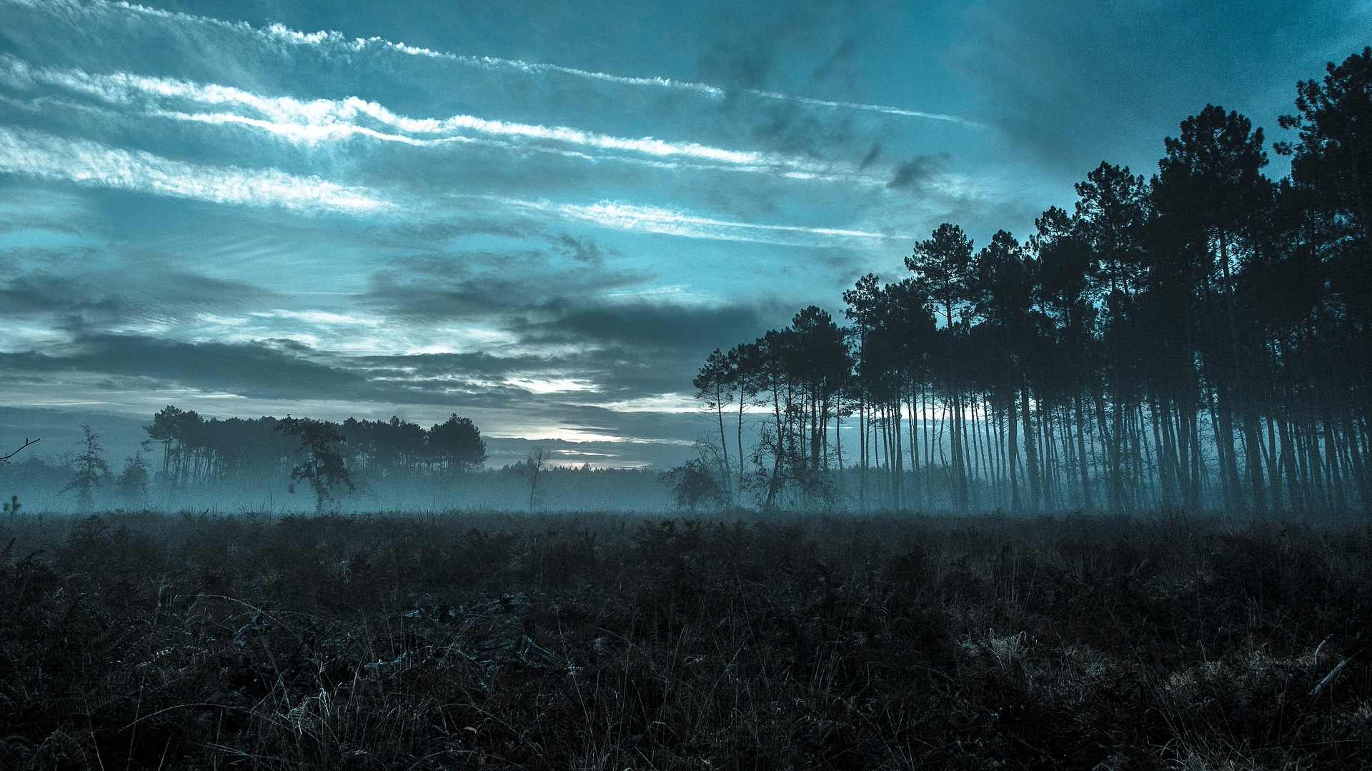 https://pixabay.com/en/basin-of-arcachon-sky-blue-trees-2447546/