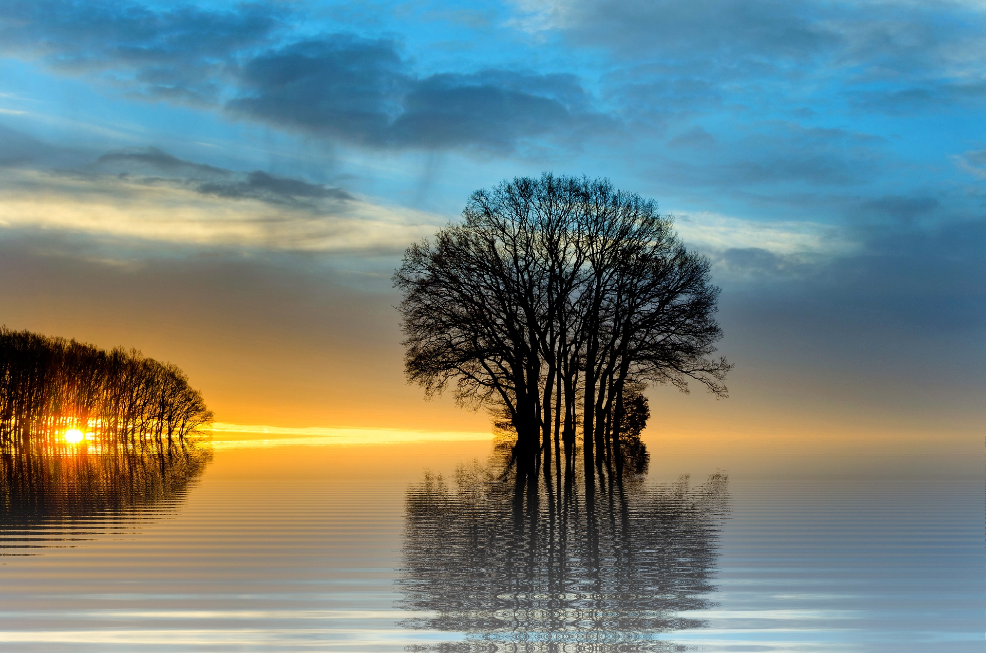 https://pixabay.com/en/sunset-sea-landscape-tree-nature-2494419/