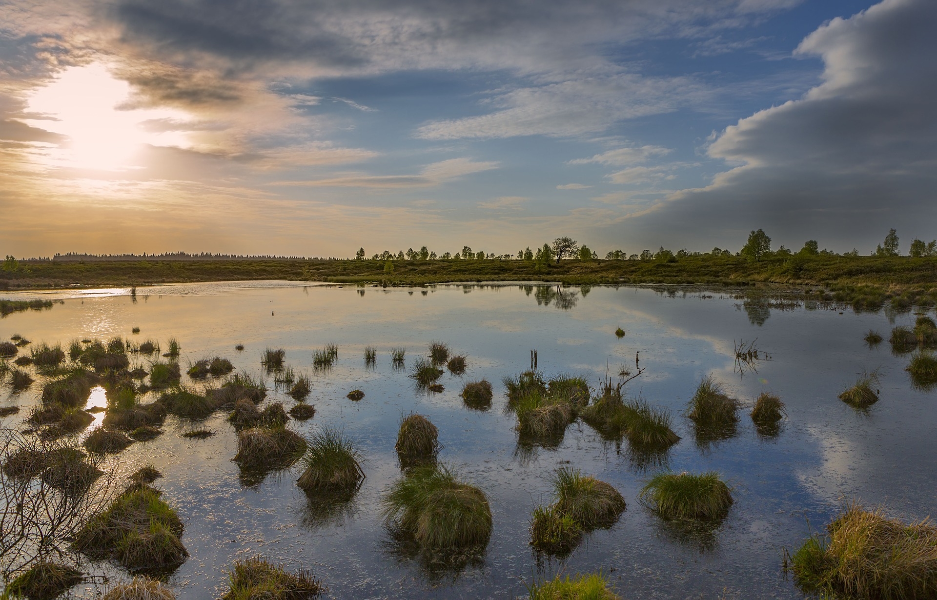 https://pixabay.com/en/ardennes-landscape-moor-water-2391846/