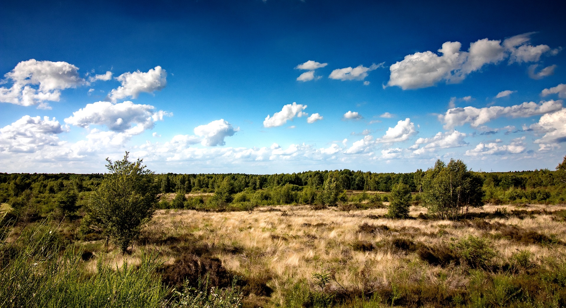 https://pixabay.com/en/heide-drover-heath-nature-heather-2408420/