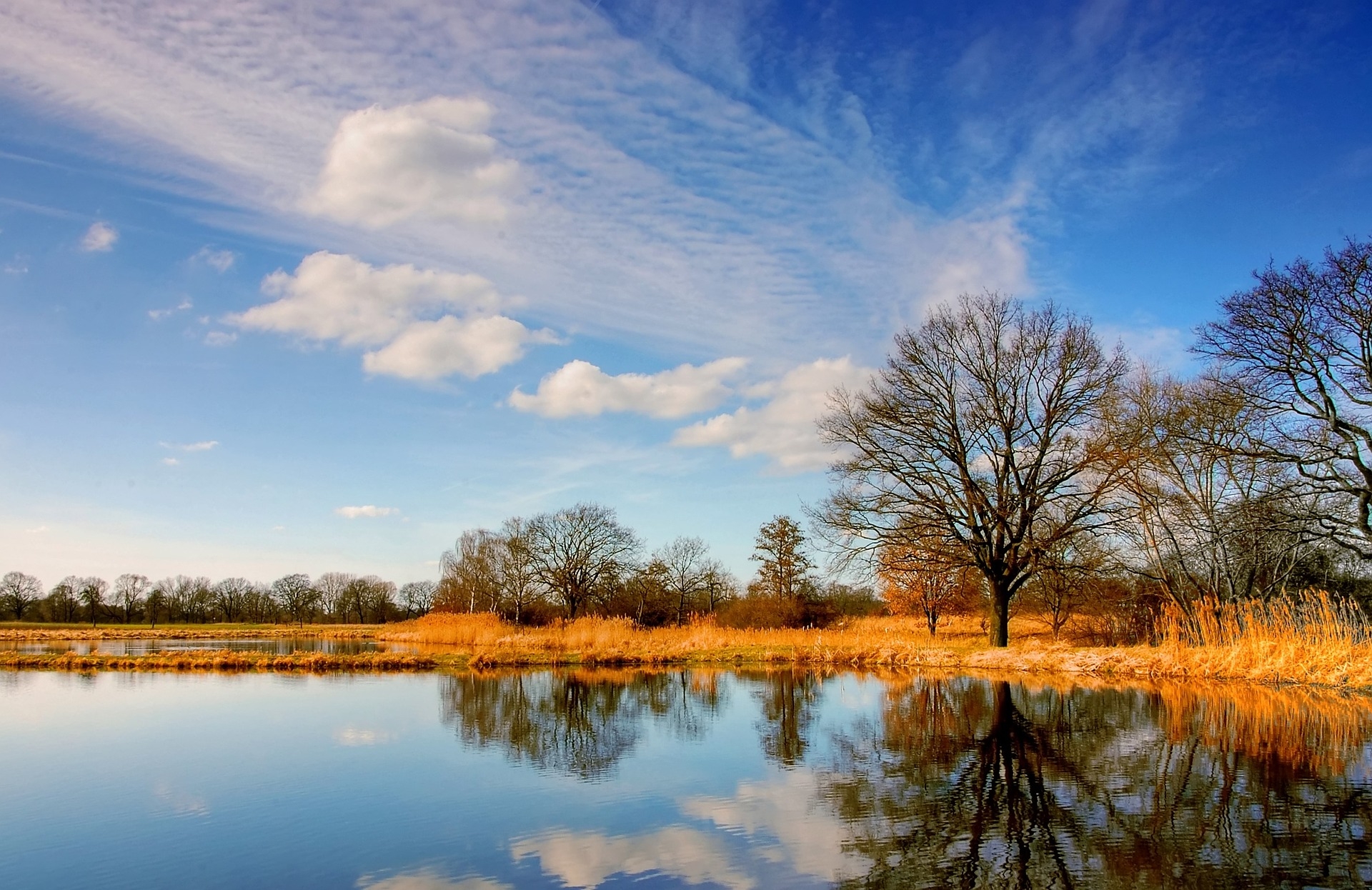 https://pixabay.com/en/pond-nature-water-mirroring-2538696/