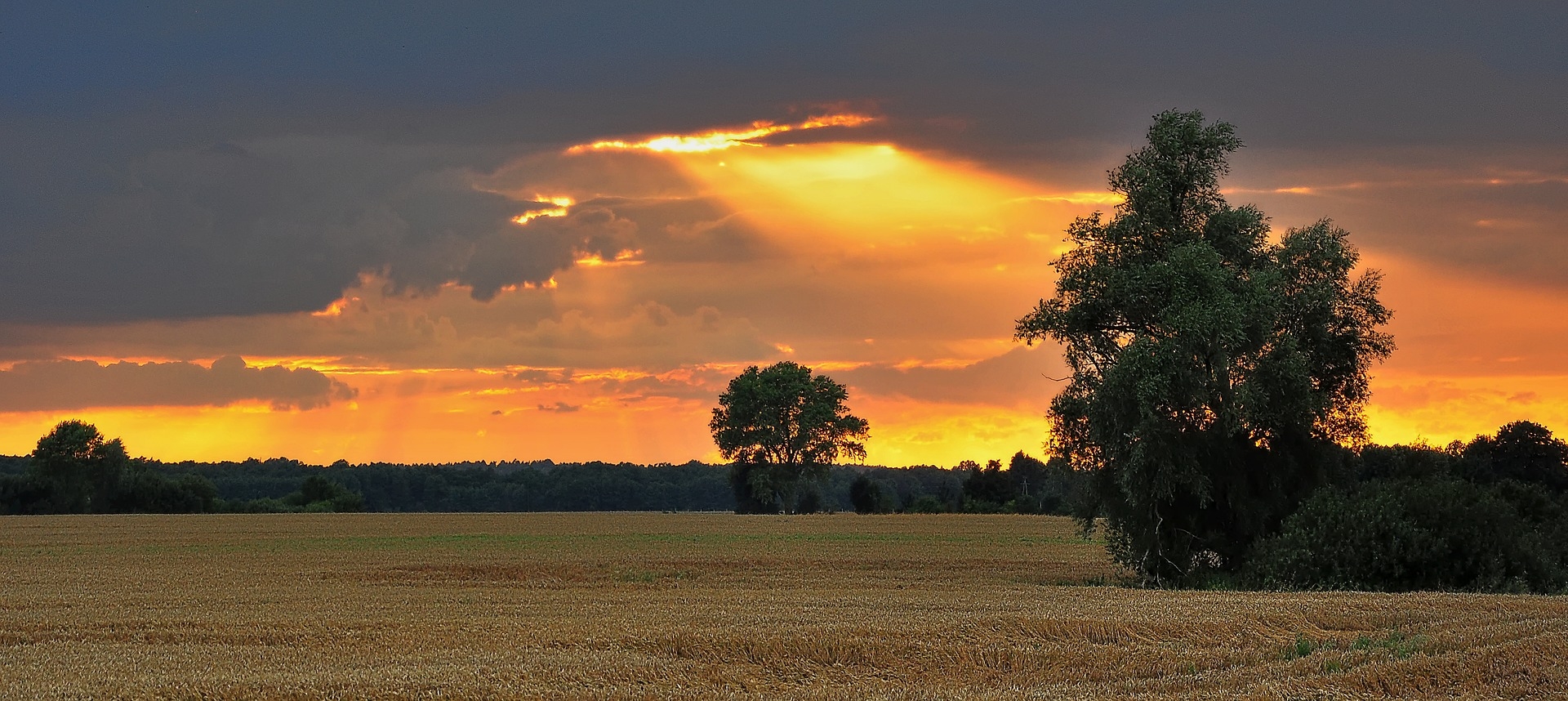 https://pixabay.com/en/west-the-rays-the-sun-fields-tree-2638294/