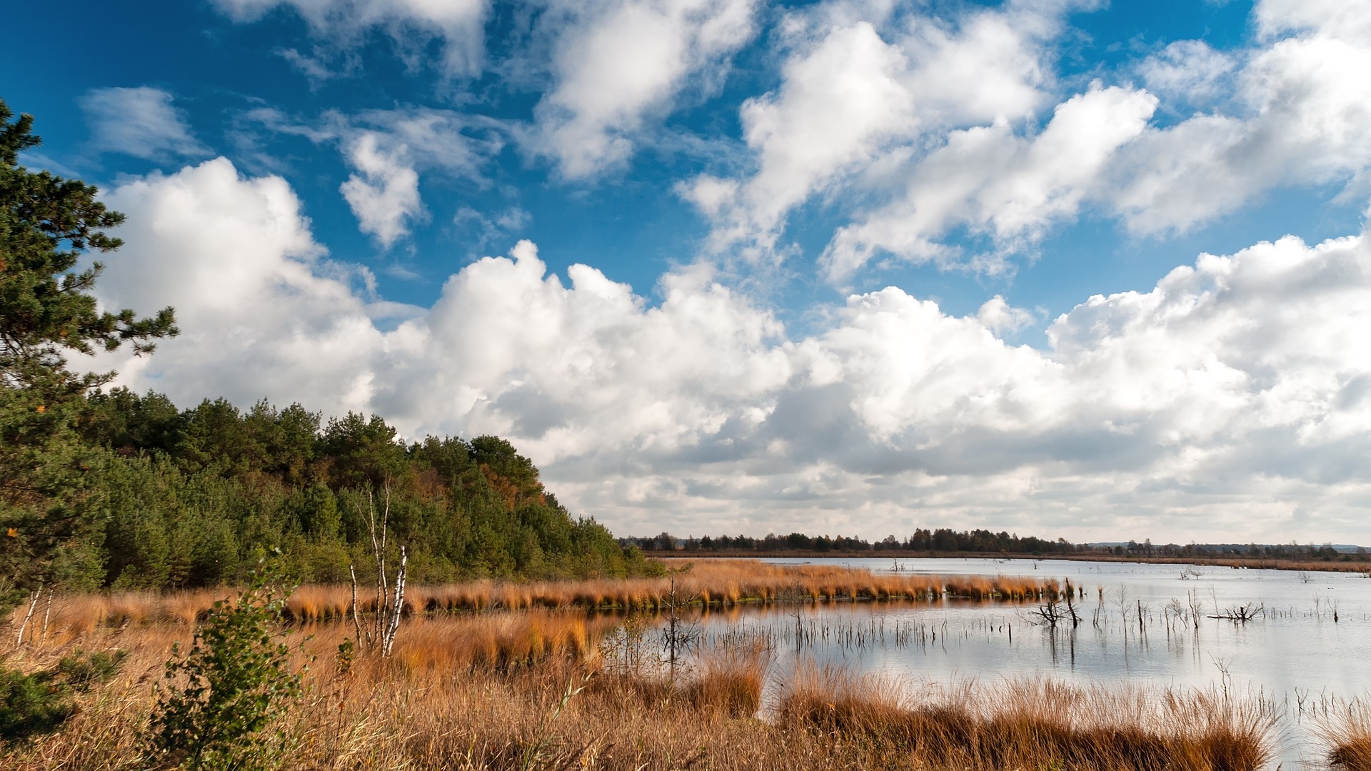 https://pixabay.com/en/teufelsmoor-north-germany-water-2463087/