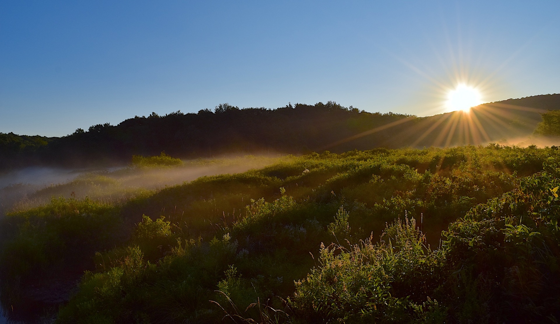 https://pixabay.com/en/sun-field-mist-daylight-sunrise-2563249/