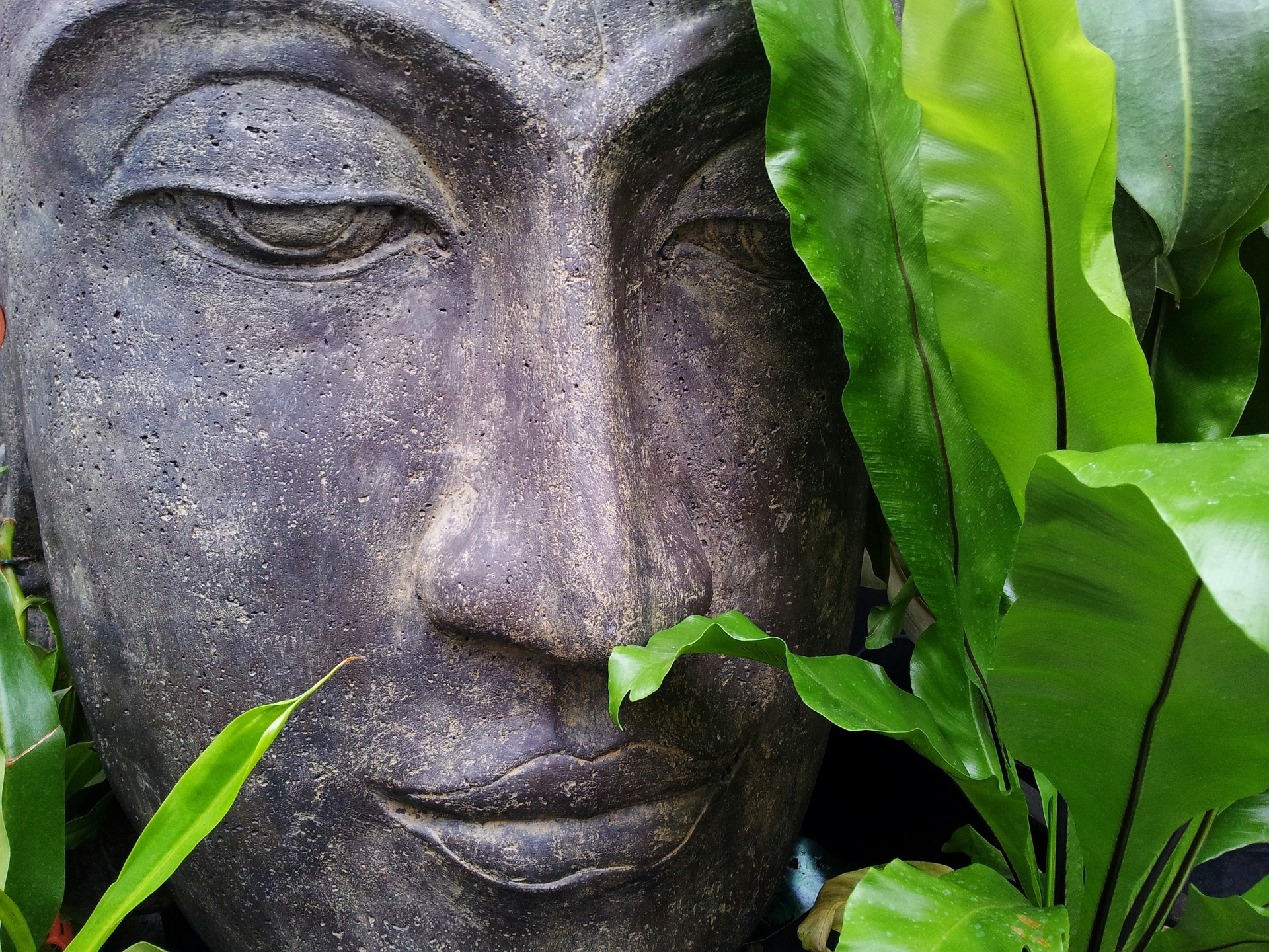 zen-buddha-relax-tranquility