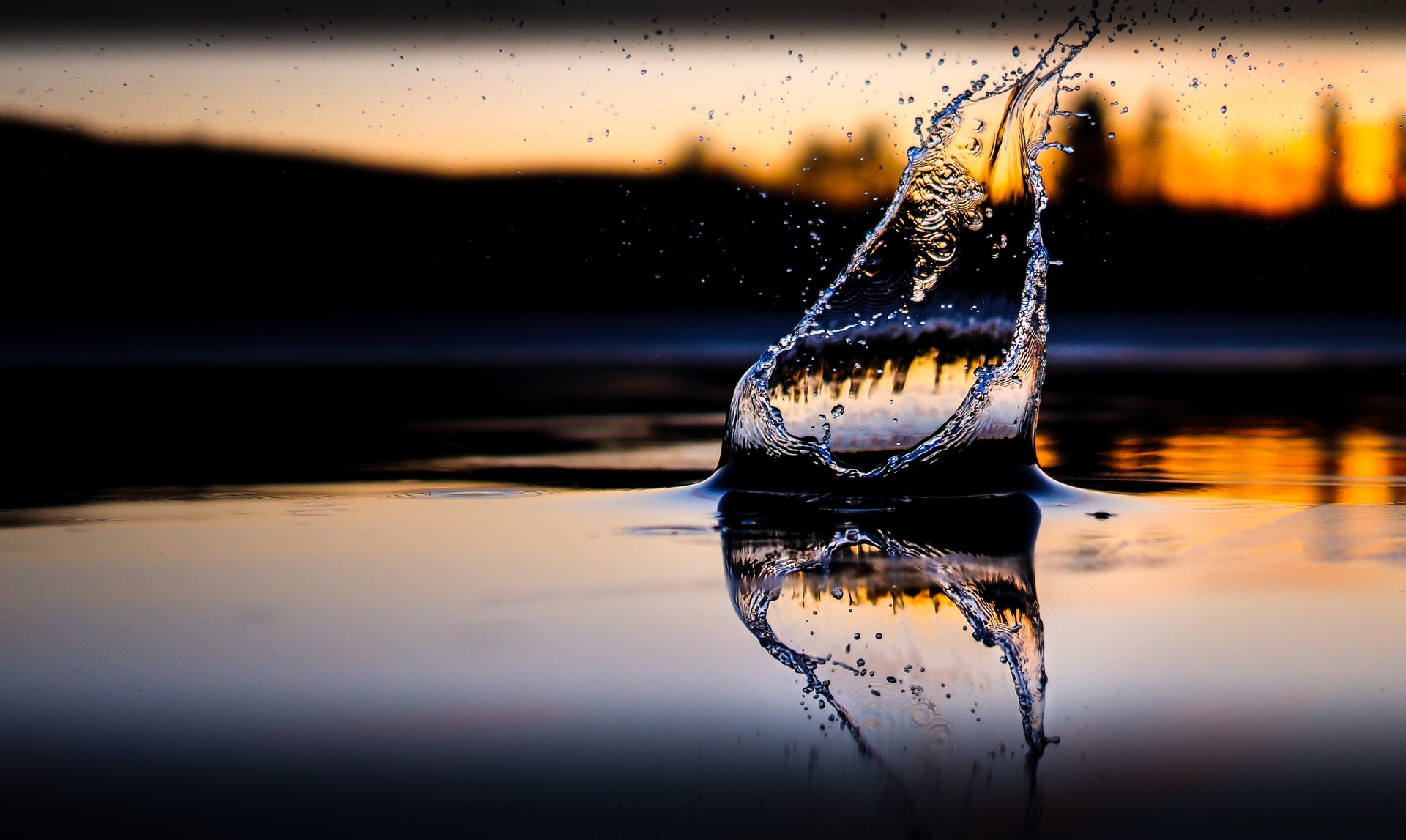 https://www.pexels.com/photo/art-clear-close-up-dark-461929/